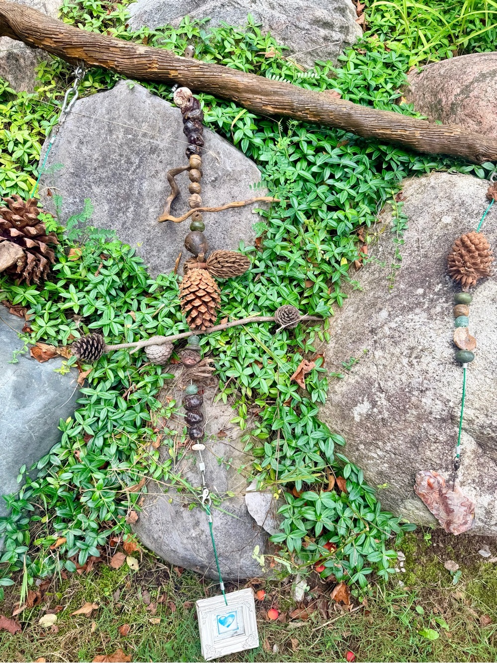 🌲NATURE INSPIRED DECOR - Picture 5 of 13